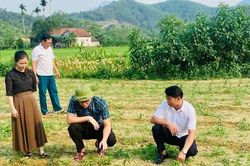 Tạo nền tảng giảm nghèo bền vững ở xã vùng biên ở Hà Tĩnh