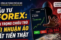 Cảnh giác chiêu lừa đầu tư Forex: Cho 'nếm' lợi nhuận rồi dụ nạp tiền lớn
