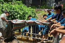 Hà Nội: Đơn vị phụ trách thoát nước nói gì về vụ nam sinh ngã xuống cống tử vong?