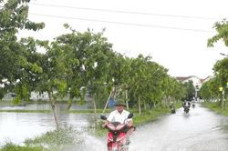 Mưa lớn ở Thanh Hóa và Nghệ An, nhiều tuyến đường ngập sâu
