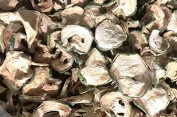 Loại cây có nguồn gốc từ Ấn Độ, chị em phơi khô làm trà uống giảm cân