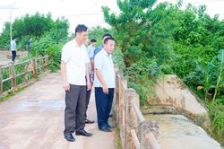 Phó Chủ tịch UBND tỉnh Nguyễn Văn Đệ kiểm tra công tác khắc phục hậu quả mưa lớn và tình hình sản xuất nông nghiệp