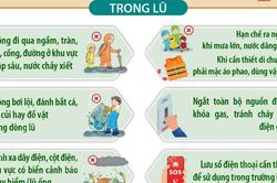 Hướng dẫn cách bảo đảm an toàn về tài sản và tính mạng trong và sau lũ
