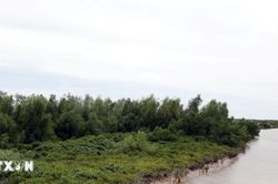 Ninh Bình: Vườn Quốc gia Xuân Thuỷ được công nhận là điểm du lịch