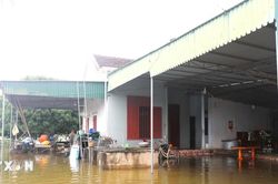 Nhiều địa phương tại Nghệ An vẫn ngập úng cục bộ
