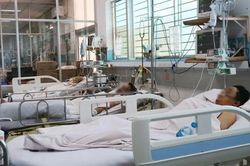 Gia tăng ca bệnh sốt xuất huyết nguy kịch ở người lớn