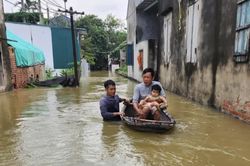 Thôn, xóm thành 'ốc đảo', người dân ngoại thành Hà Nội hối hả chạy lũ