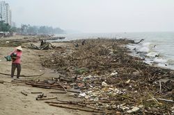 Bãi biển Sầm Sơn phủ kín củi, rác sau mưa lũ