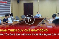 Hoàn thiện Quy chế hoạt động Tổ công tác Hệ sinh thái tận dụng các FTA