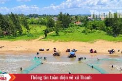 Rộn ràng làng biển