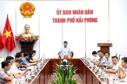 Hải Phòng có 54.549 doanh nghiệp đang hoạt động