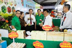 Hội chợ Công Thương khu vực phía Bắc - Bắc Ninh 2026: Hội tụ các sản phẩm vùng miền