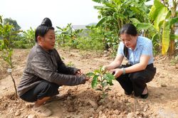 'Khoảng trống' phía sau những bước chân rời bản (bài 2)