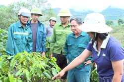 Vươn lên từ gian khó