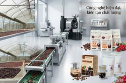 Khuyến công - 'bệ phóng' cho nông sản Điện Biên