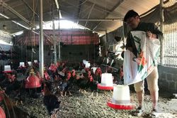An Nhơn Tây: Khai giảng 2 lớp đào tạo nghề cho nông dân, cựu chiến binh