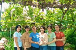 Về Diên Điền hái nho
