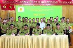 5 tỉnh tăng cường phối hợp bảo vệ rừng vùng giáp ranh
