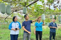 Kinh tế tập thể tạo động lực cho nông dân