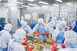 Bài toán xanh hóa chuỗi giá trị