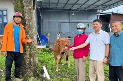 Hỗ trợ sinh kế phù hợp với nhu cầu người dân