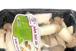 Giá cả thị trường ngày 18/9/2026
