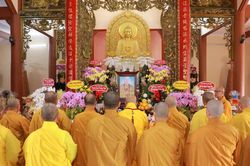 Lễ tưởng niệm Hòa thượng Thích Đạt Đạo - vị thầy gắn bó với Phật sự giáo dục, hoằng pháp của Giáo hội