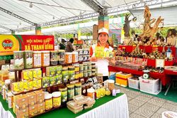 Đà Nẵng: Nhiều xã tăng tốc xây dựng nông thôn mới, phấn đấu về đích năm 2028