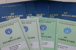 Người lao động có tự chốt sổ bảo hiểm xã hội được không?
