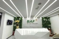 BAF thêm lãnh đạo mới, lập công ty 100 tỷ khi áp lực nợ vay và định giá cao
