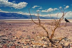 Dự báo El Niño tăng hơn và đạt cường độ rất mạnh