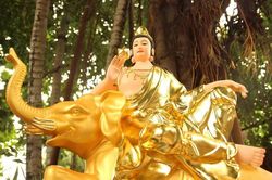 Tư tưởng "huyễn" trong phẩm Phổ Hiền (Kinh Viên Giác) và ý nghĩa đối với đời sống hiện đại