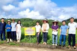 Kiểm tra mô hình nghiên cứu phát triển giống lúa Đoàn kết tại xã Nam Tuấn