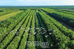'Dấu vân tay sống' của một vùng đất