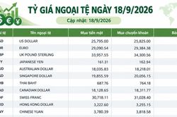 Tỷ giá ngoại tệ ngày 18/9: USD vượt 26.200 đồng, GBP tiến sát mốc 35.400 đồng