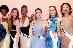 Miss Universe Vietnam lên tiếng việc đại diện mất cơ hội thi quốc tế