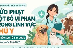 Những mức phạt cần biết trong lĩnh vực thú y