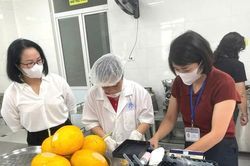 Phường Hồng Hà: Siết chặt an toàn thực phẩm trong bếp ăn trường học