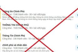 'Ma trận' nhóm 'Thông tin Chính phủ' trên Facebook