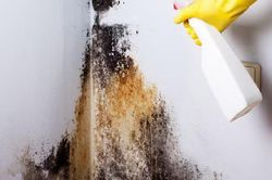 4 mẹo xử lý chống ẩm mốc tường, sàn nhà sau mưa vừa nhanh vừa đỡ tốn kém