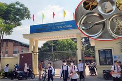 Hà Nội lập 4 đoàn kiểm tra đột xuất suất ăn bán trú: Trách nhiệm hiệu trưởng đến đâu khi bữa ăn của học sinh bị 'thả nổi'?