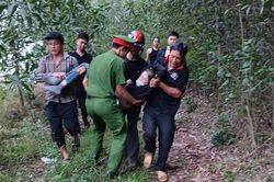 Người phụ nữ sốc phản vệ độ 3 vì bị đàn ong vò vẽ tấn công