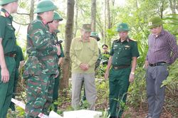 Khảo sát, xác minh thông tin mộ liệt sĩ tập thể tại Bắc đèo Hải Vân