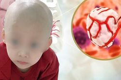 Bé trai 5 tuổi chống chọi ung thư giai đoạn cuối nửa năm không được về nhà