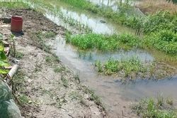 Bắt cá trước ao nhà, hai vợ chồng gặp nạn, tử vong