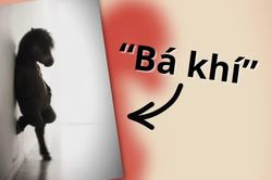 'Bá khí' là gì, có nguồn gốc từ đâu mà thành meme phủ sóng khắp mạng xã hội?