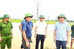 Hồng Sơn chủ động ứng phó mưa lũ, bảo vệ sản xuất cho người dân