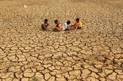 Việt Nam và các nước châu Á gấp rút ứng phó 'siêu El Niño'