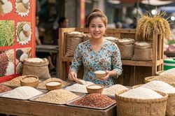 Giá lúa gạo hôm nay 19.9: Lúa chững giảm, gạo nguyên liệu giữ giá