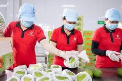Chuẩn hóa nguồn cung, giữ đơn hàng xuất khẩu
